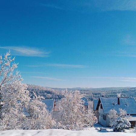 Gite Des Roches La Chaux-du-Dombief Экстерьер фото